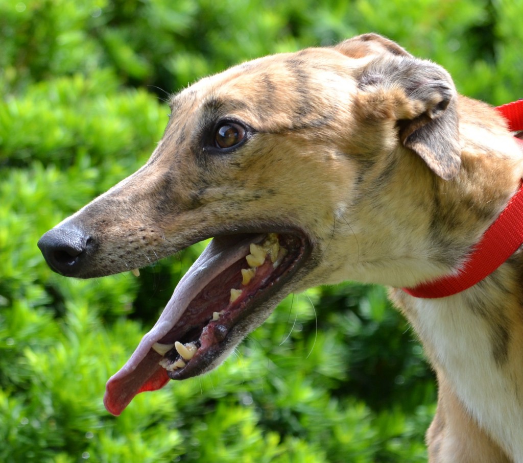 Налоговые схемы,