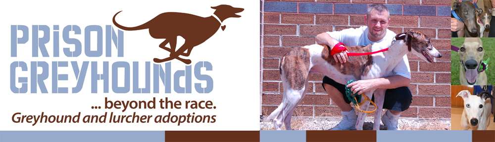 Prison Greyhounds adoption group, Inc.